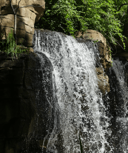 Waterfall at the St. Louis Zoo