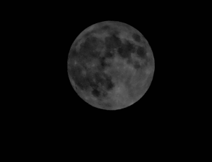 The Moon #1